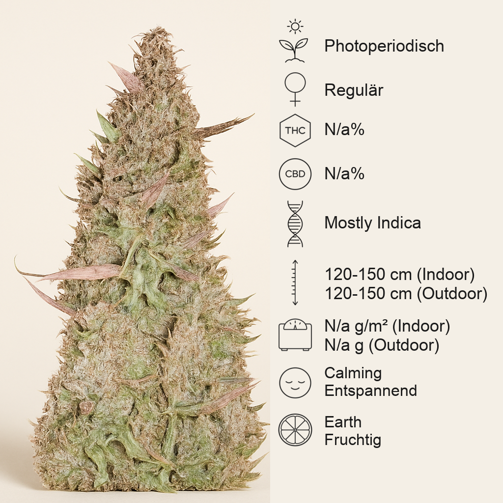 Ruderalis Skunk regular (Sensi Seeds) Cannabis-Samen