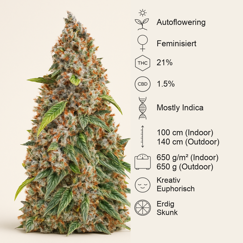 Strawberry Cheesecake Auto Samen feminisiert (Barney's Farm)