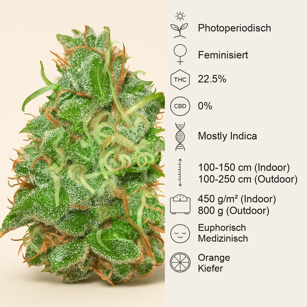 Fruity Chronic Juice (Delicious Seeds) Cannabis-Samen