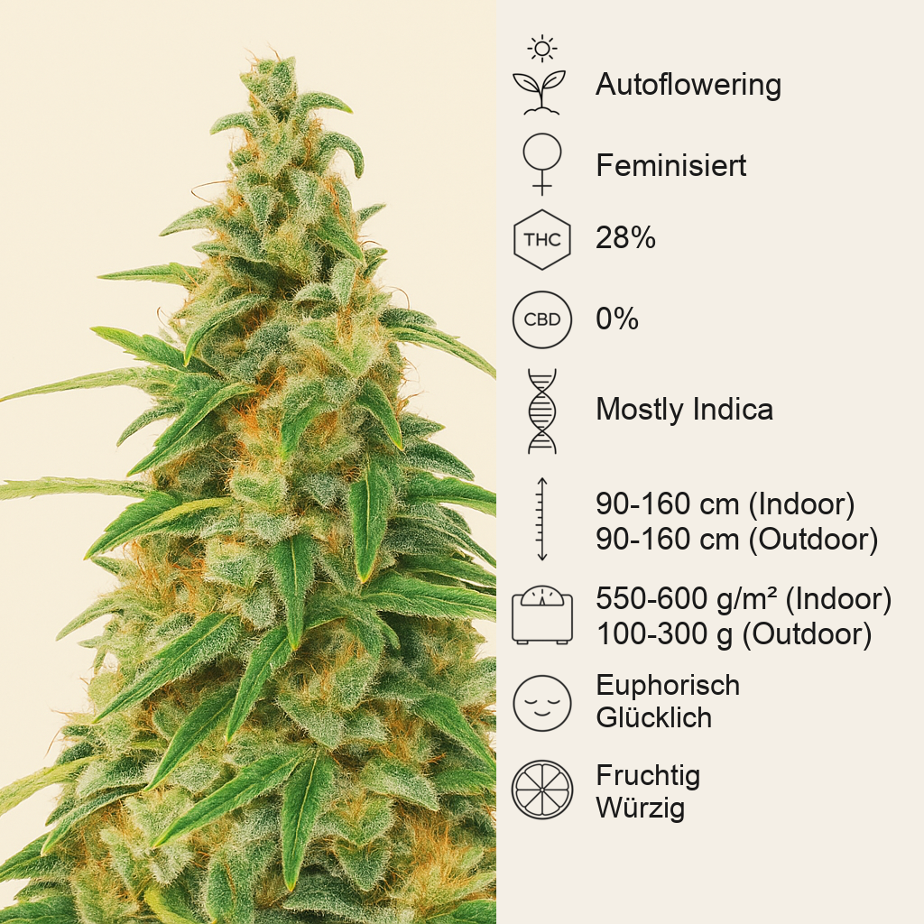 Apple Betty Auto-Samen (Herbies Seeds)