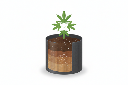Welche Erde für Cannabispflanzen indoor wählen