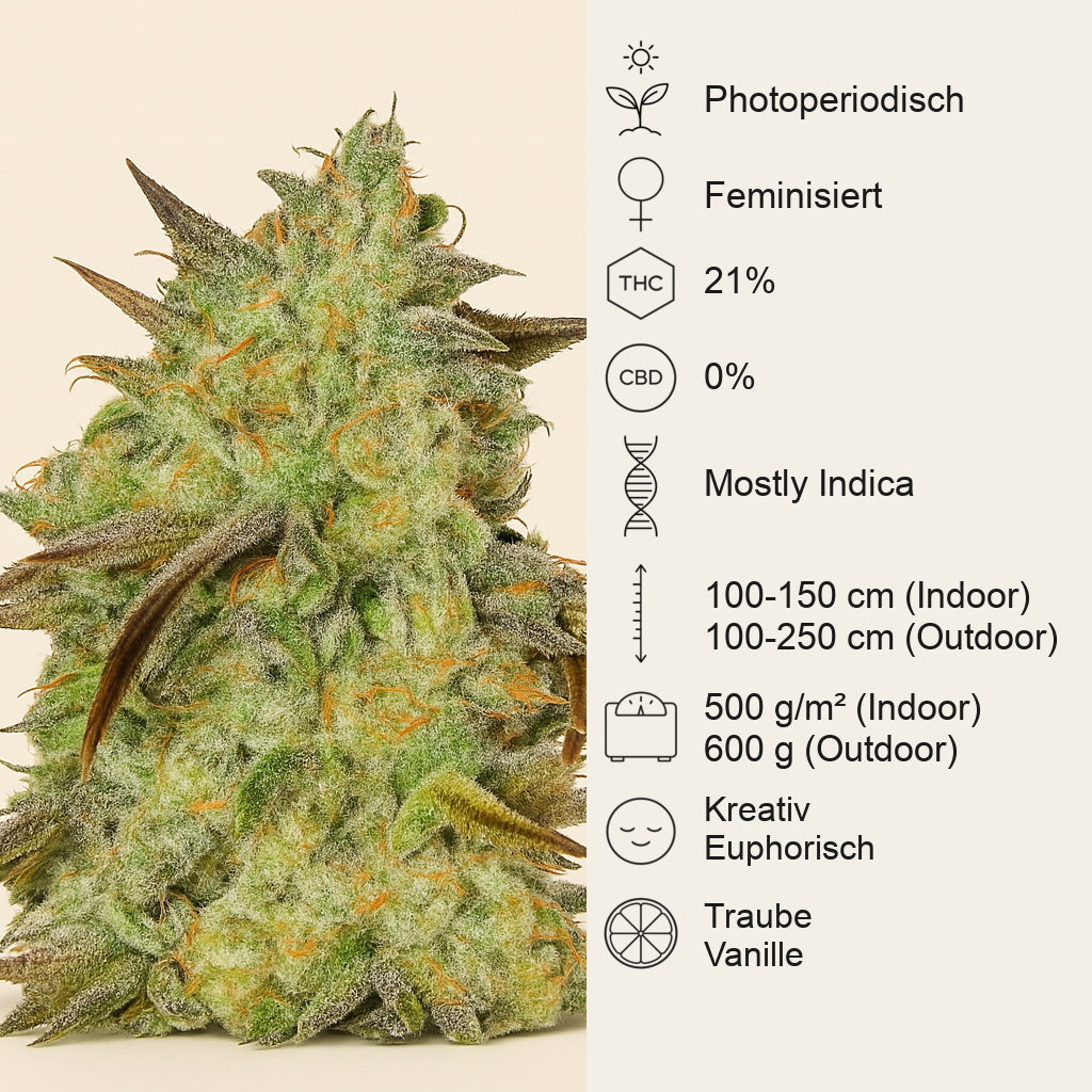 Marmalate Early Version (Delicious Seeds) Cannabis-Samen