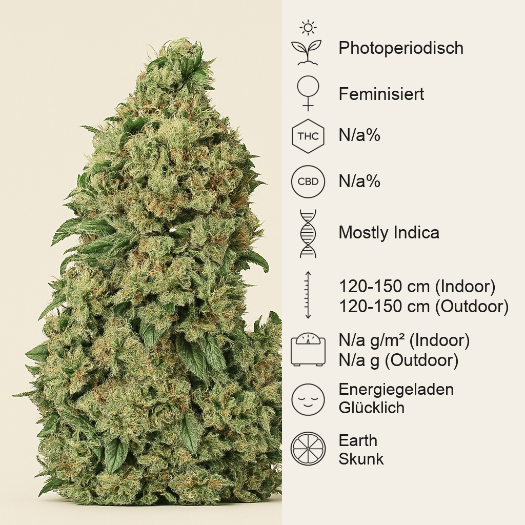 Skunk #1 (Sensi Seeds) Cannabis-Samen