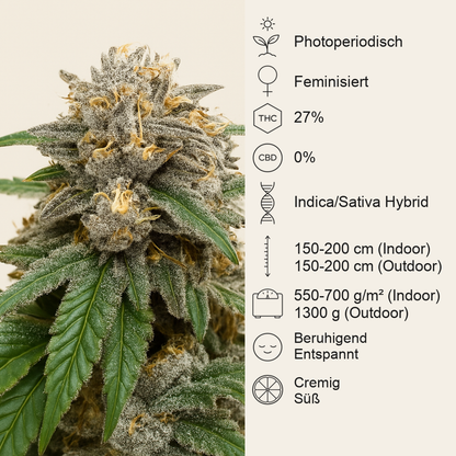 Papaya Sherbet (Fast Buds)