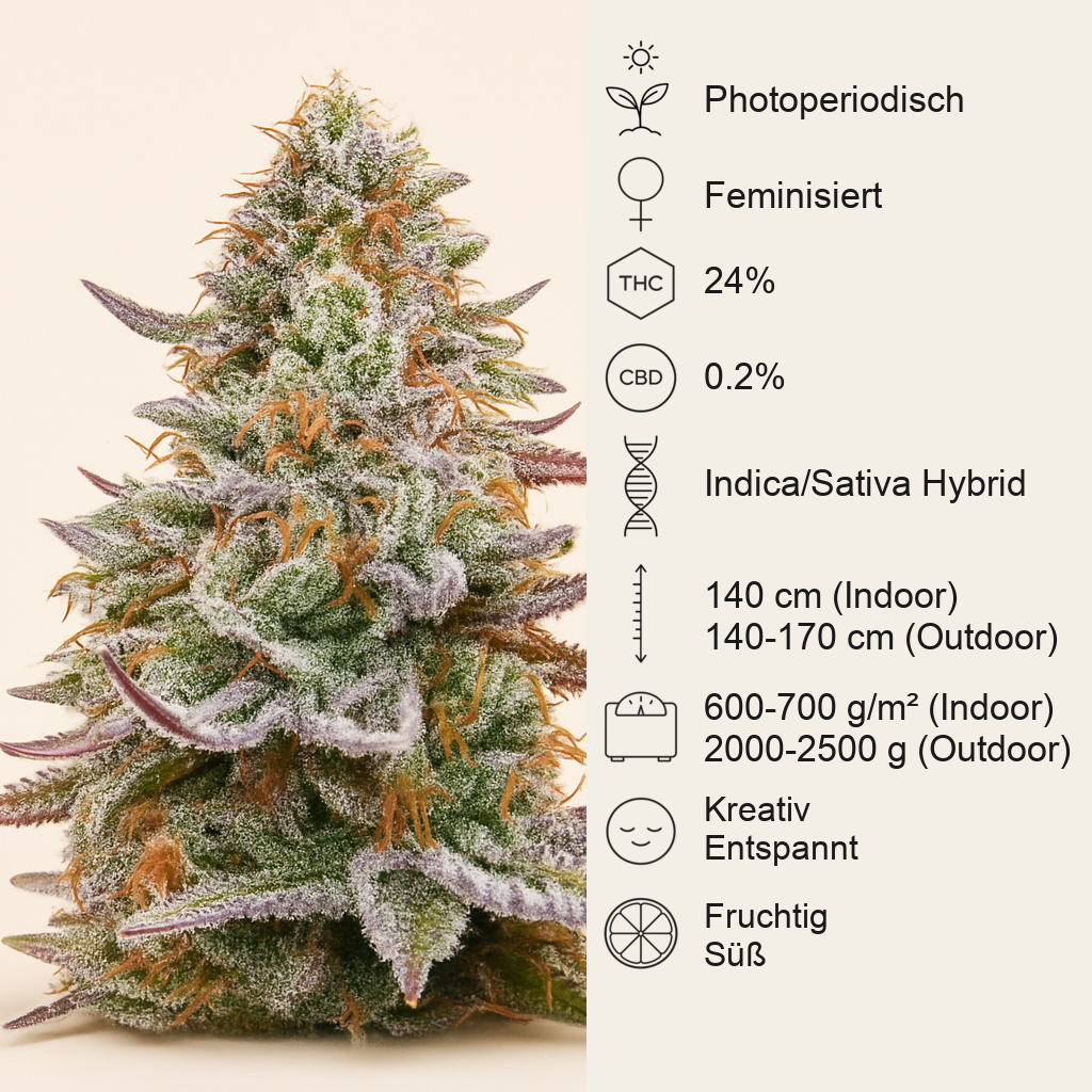 Gorilla Z feminisierte Samen (Barney's Farm)