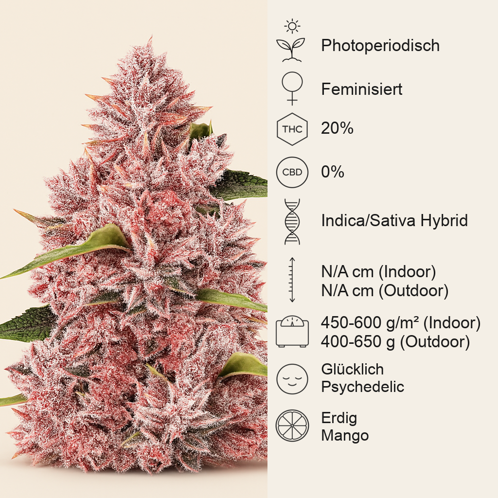 Tropicanna Poison F1 Fast Version feminisiertes Saatgut (Sweet Seeds)