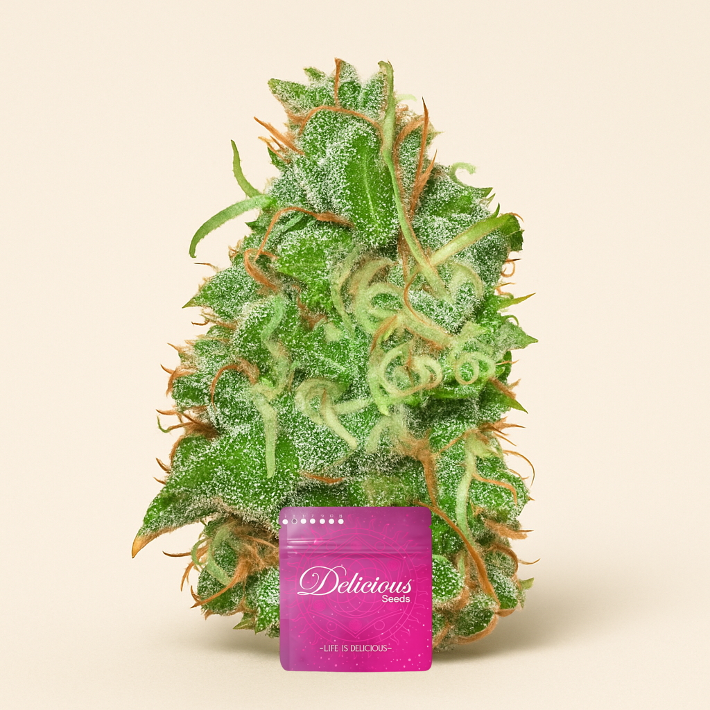 Fruity Chronic Juice (Delicious Seeds) Cannabis-Samen