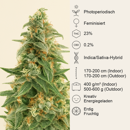 Zombie Death Fuck (BlimBurn Seeds) Cannabis-Samen