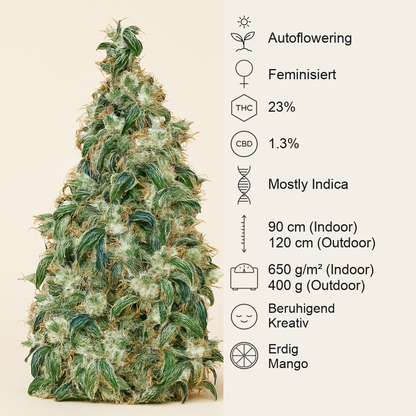 LSD Auto (Barney's Farm) Cannabis-Samen