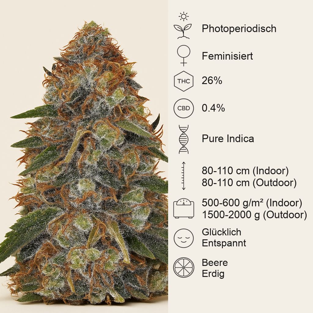 Shiskaberry feminisierte Samen (Barney's Farm)