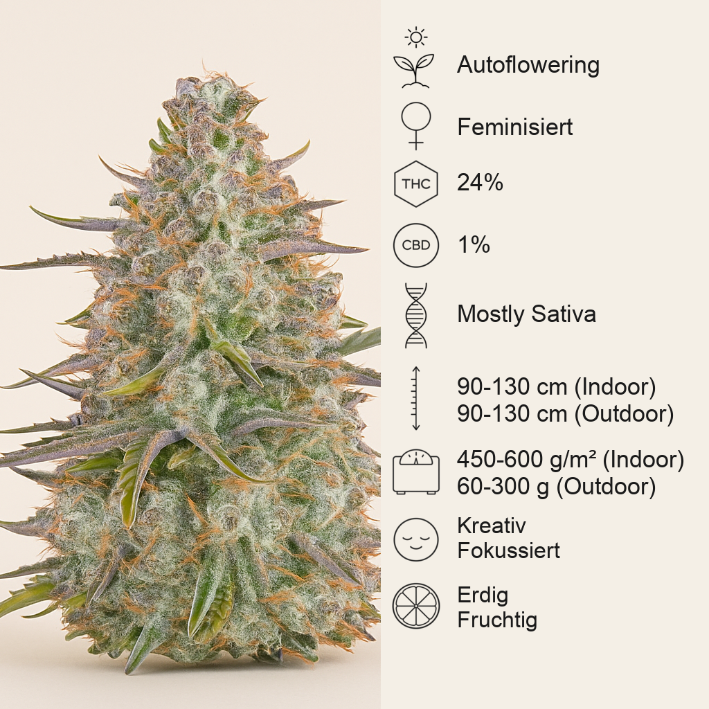 Wedding Cheesecake Auto (Fast Buds)