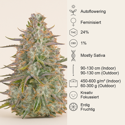 Wedding Cheesecake Auto (Fast Buds)