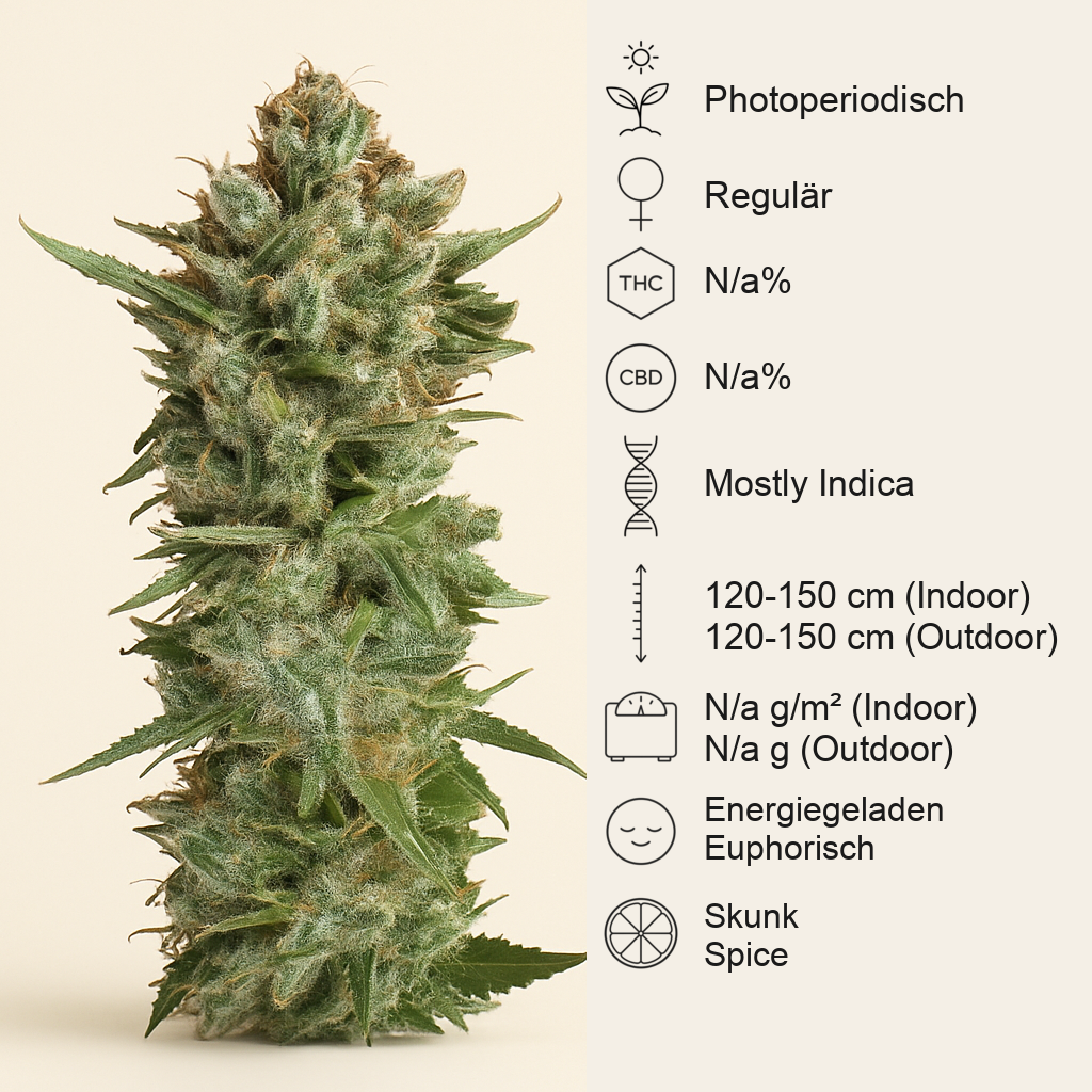 Skunk #1 regular (Sensi Seeds) Cannabis-Samen